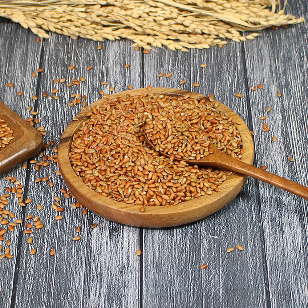 (25년산) 홍성농부의 찰홍미 1kg 직접도정