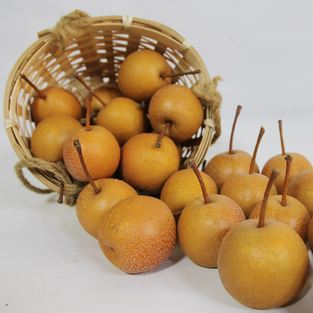 전남 광양 백운선 황금 산돌배 10kg, 참 산돌배 10kg 옵션선택