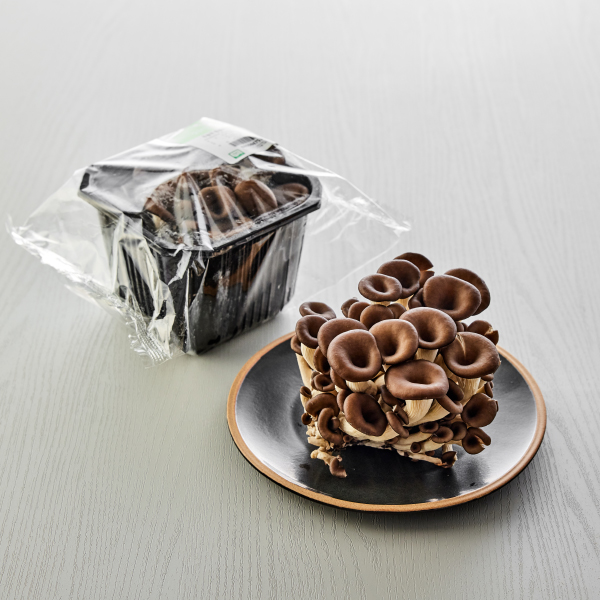 무농약 한송이 느타리(150g)