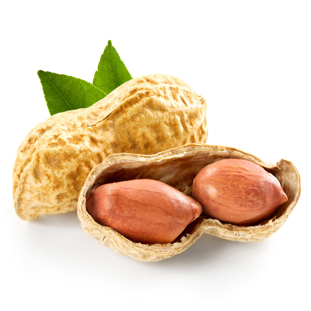 호정가 넛츠 꿀땅콩(봉지) 500g / 견과류 슈퍼푸드