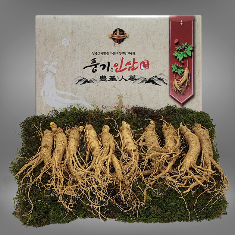 풍기인삼 5년근 수삼 500g (15-17뿌리/쇼핑백 증정) [10+1] 대표이미지 섬네일