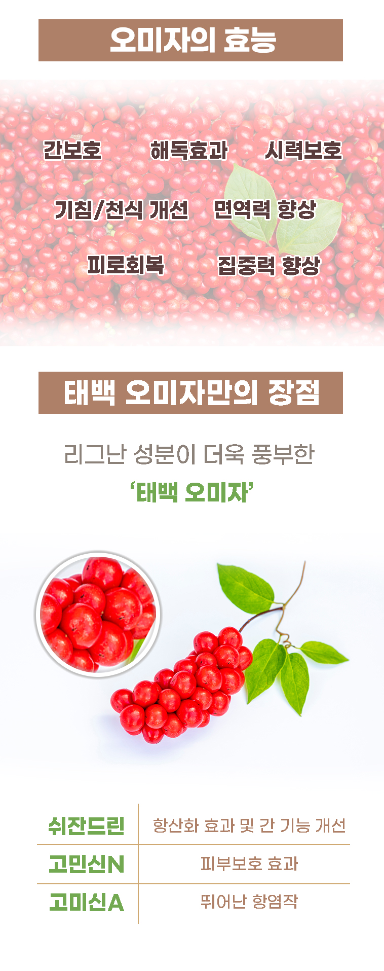 오미자청 태오미 300ml*1입