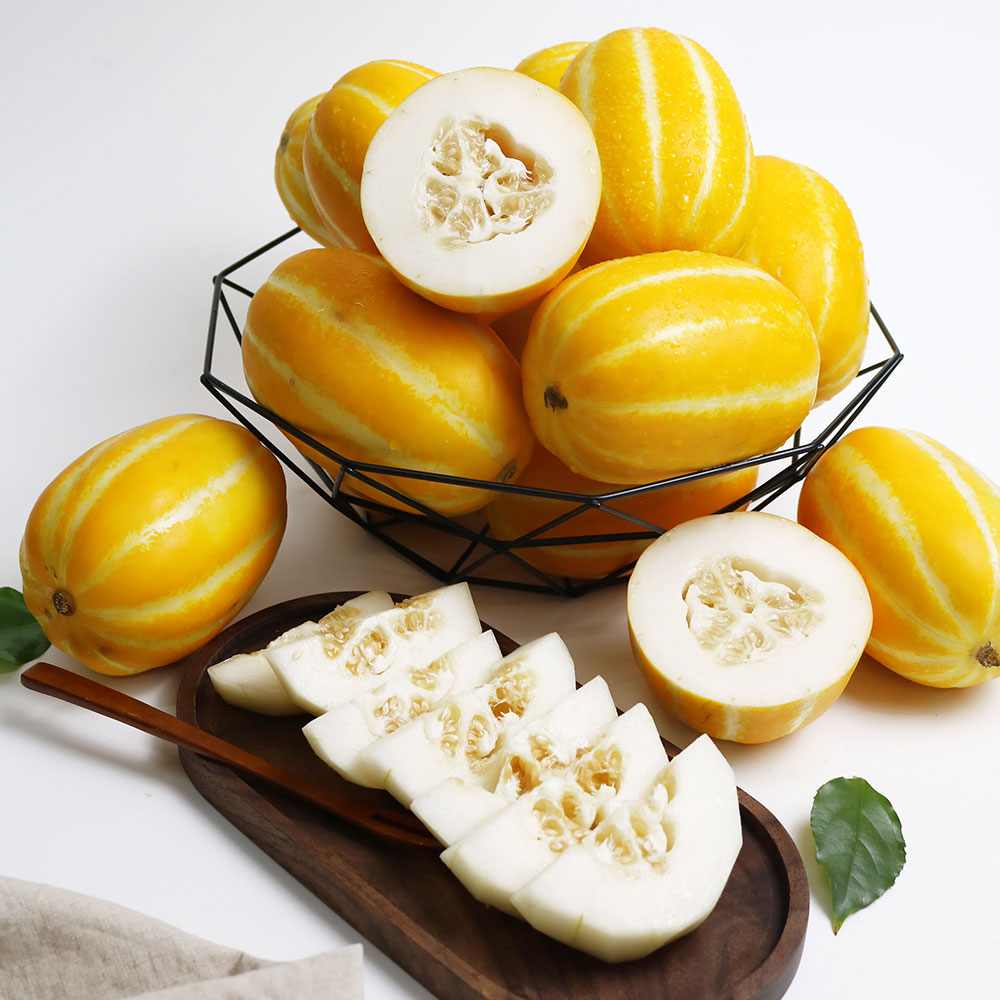 성주 참외 농가발송 꿀참외 꿀당도 산지직송 2kg 5kg
