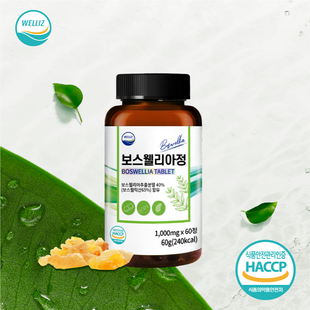 웰리즈 프리미엄 인도산 보스웰리아 1000mg X 60정