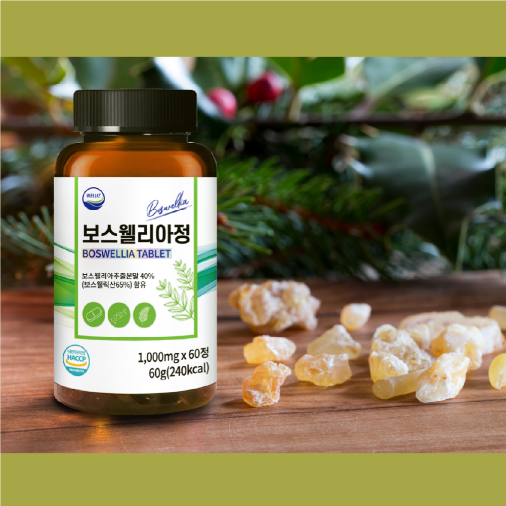 웰리즈 프리미엄 인도산 보스웰리아 1000mg X 60정