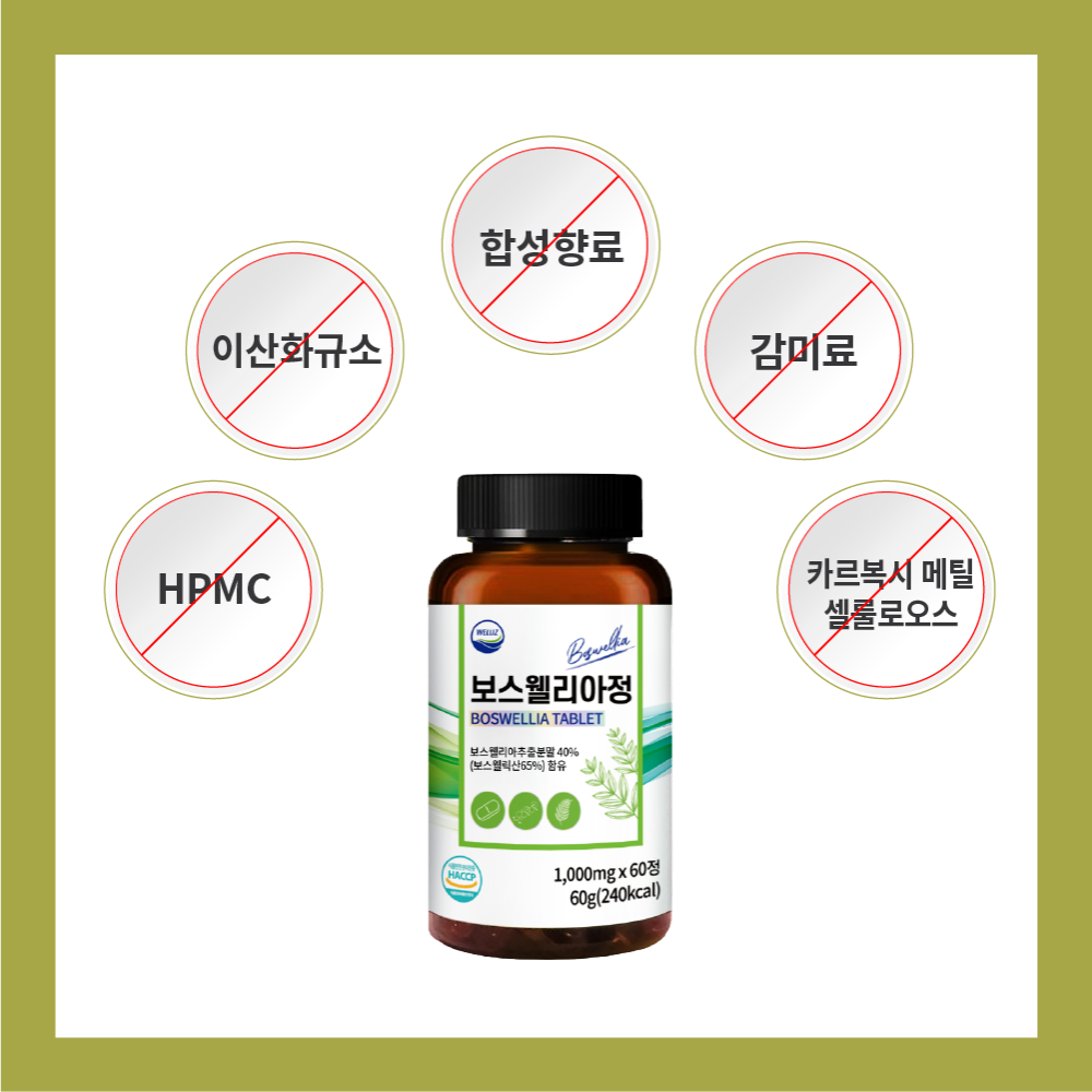웰리즈 프리미엄 인도산 보스웰리아 1000mg X 60정