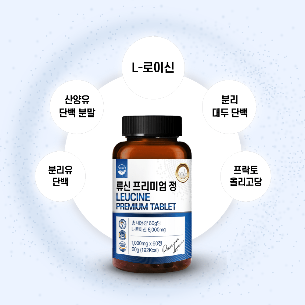 웰리즈 류신 프리미엄 정 1000mg X 60정