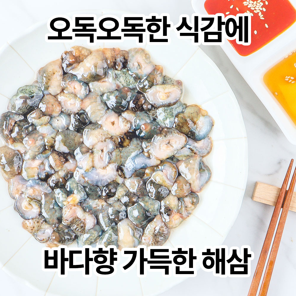 통영 산지직송 자연산 활 해삼 800g 해삼회 해삼 - 오아시스마켓::세상에 없는 가격