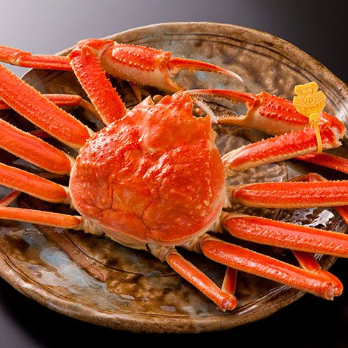 자연산 프리미엄 자숙 대게 대표이미지 섬네일
