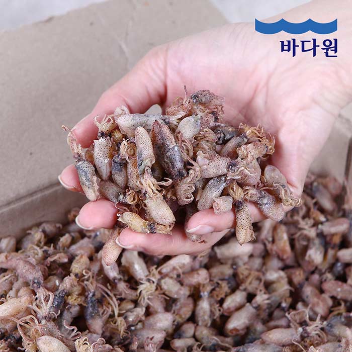 [바다원] 국내산 건 꼴뚜기 200g