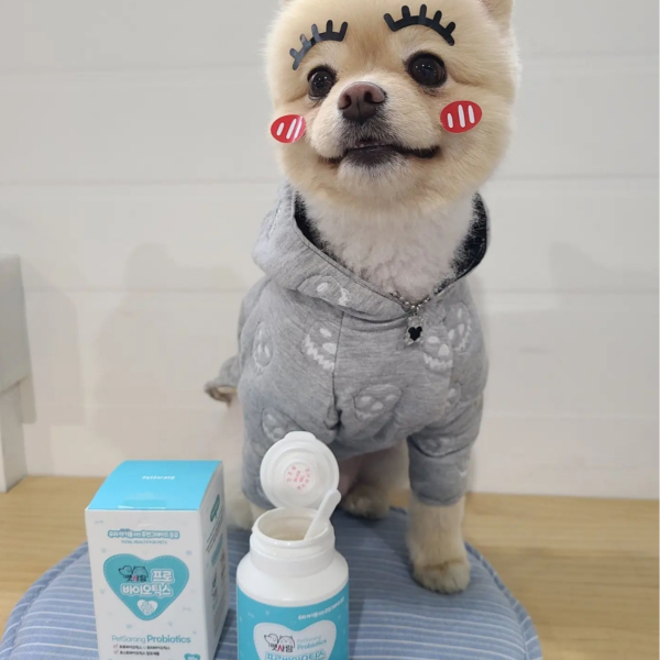 강아지 고양이 장건강영양제 펫사랑프로바이오틱스