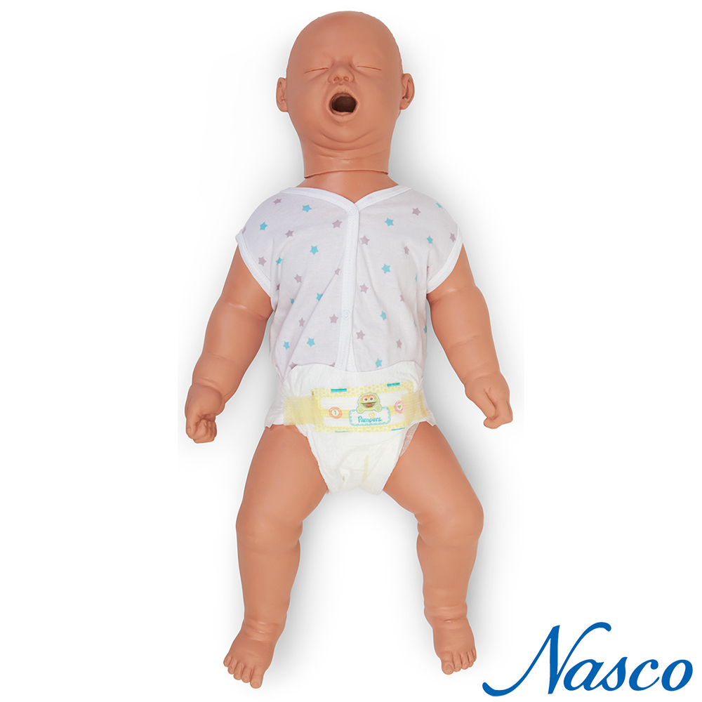 NASCO USA 기도폐쇄마네킹 신생아 영유아형 1640 하임리히교육 심폐소생마네킹