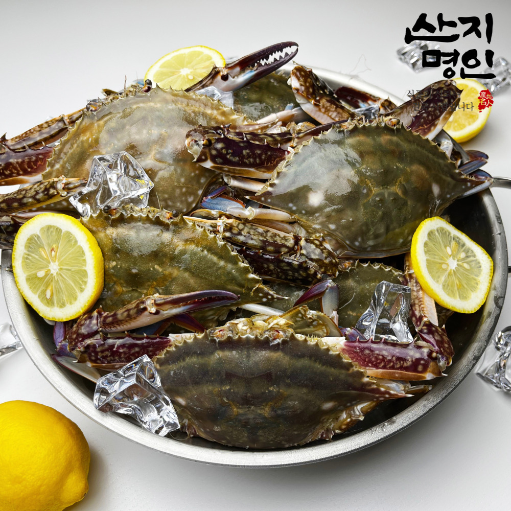 [산지명인] 태안 자연산 활꽃게 2kg 제철 숫꽃게 빙장포장