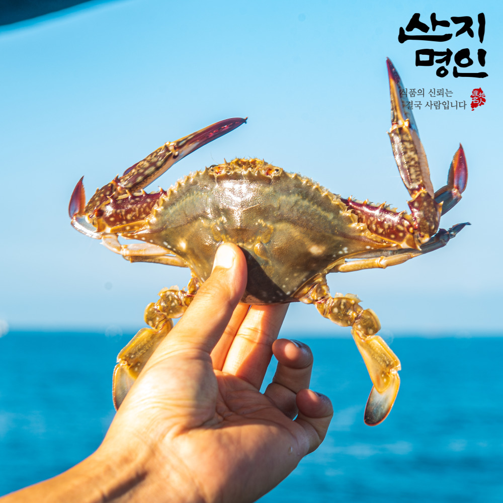 [산지명인] 태안 자연산 활꽃게 2kg 제철 숫꽃게 빙장포장