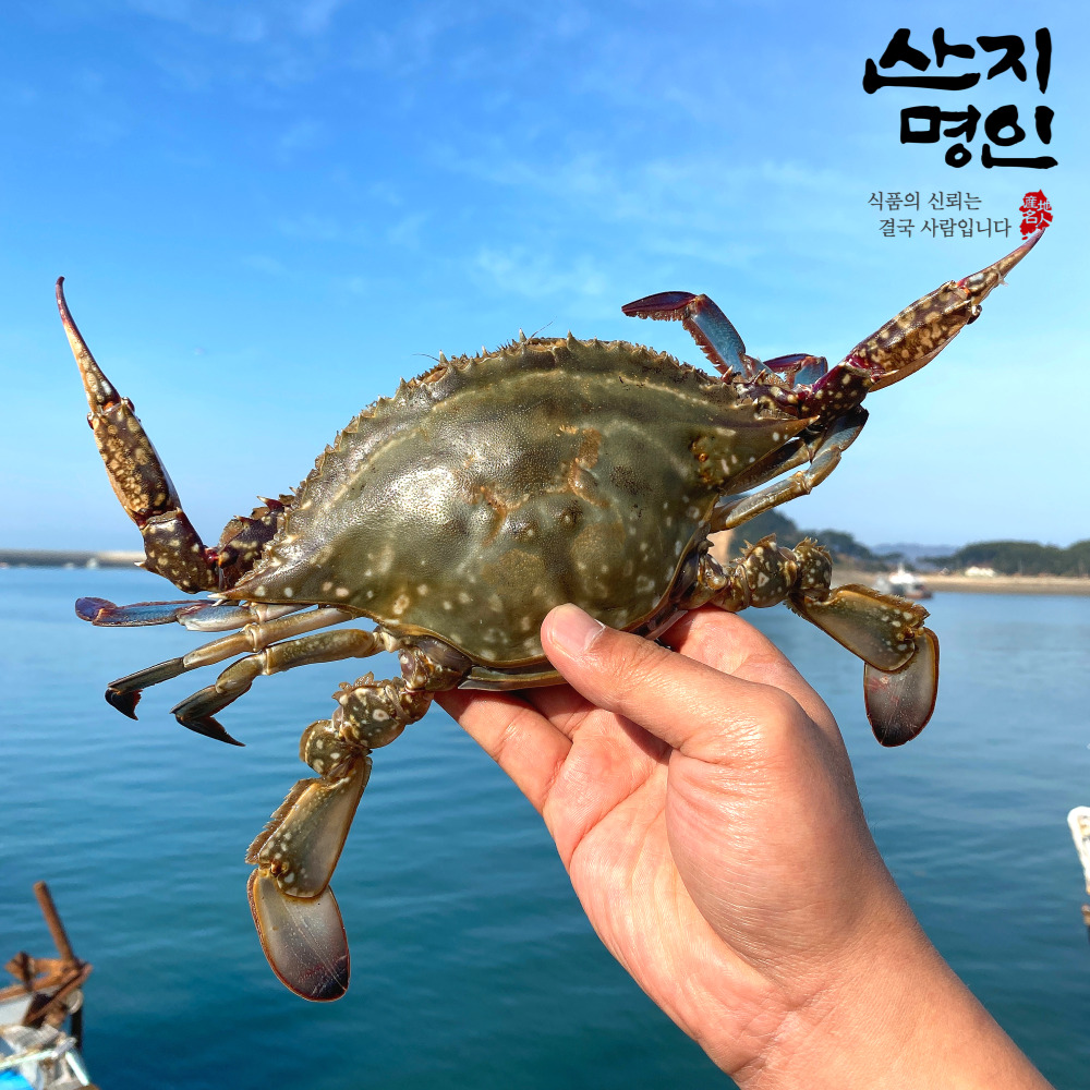 [산지명인] 태안 자연산 활꽃게 2kg 제철 숫꽃게 빙장포장