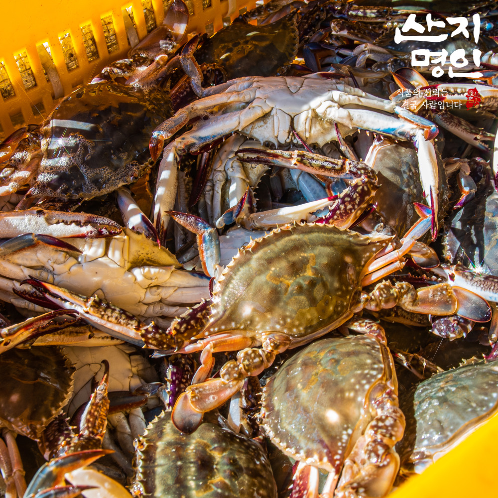 [산지명인] 태안 자연산 활꽃게 2kg 제철 숫꽃게 빙장포장