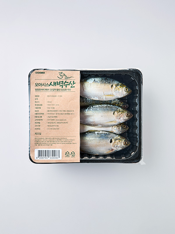 자연산 생물전어 (횟감, 구이용/500g 내외)