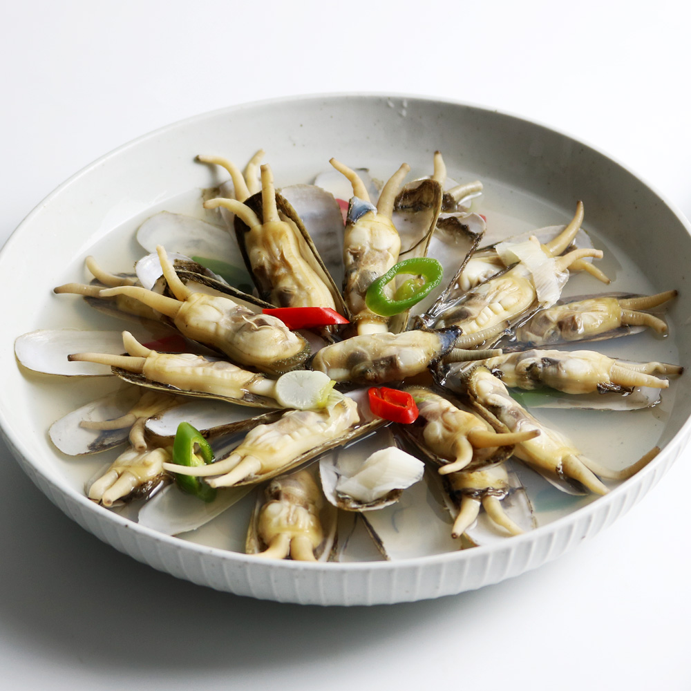 당일채취발송 순천만 벌교 직송 가리 맛조개 1kg