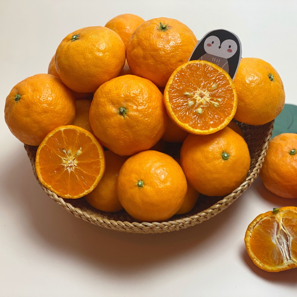 카라향 제주 감귤 귤로향 1kg 2kg 4.5kg 