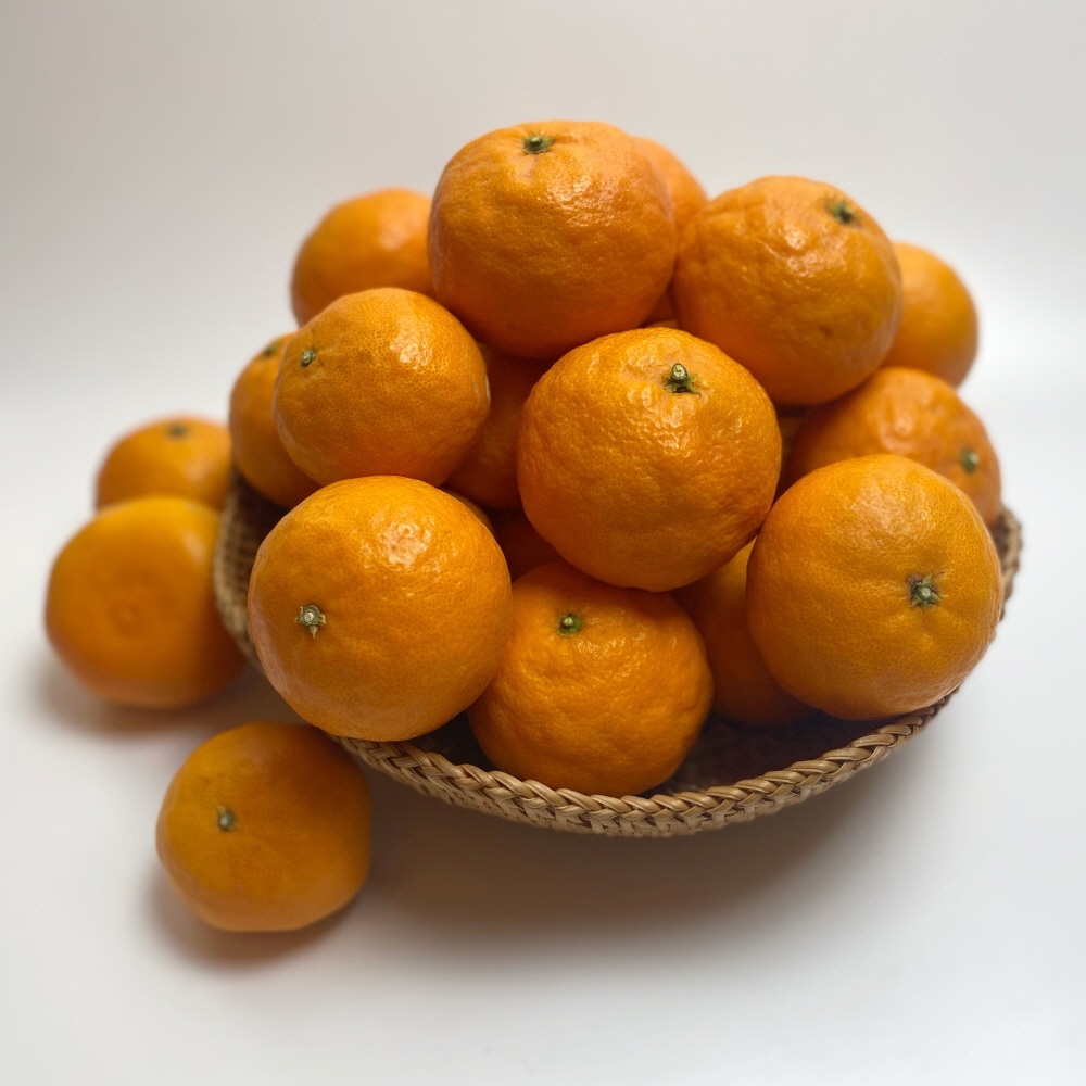 카라향 제주 감귤 귤로향 1kg 2kg 4.5kg 