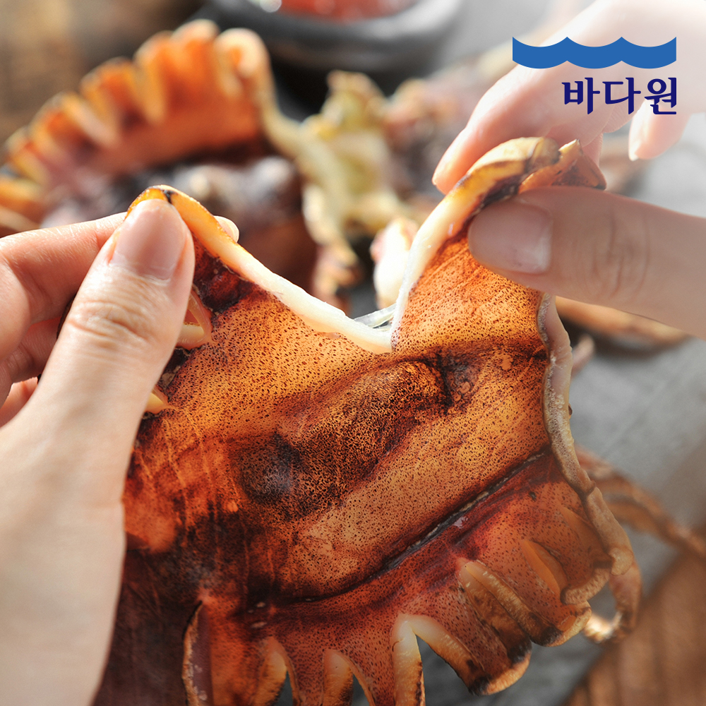 [바다원] 동해안 피데기 반건조 오징어 5미(600g)/10미(1.2kg)