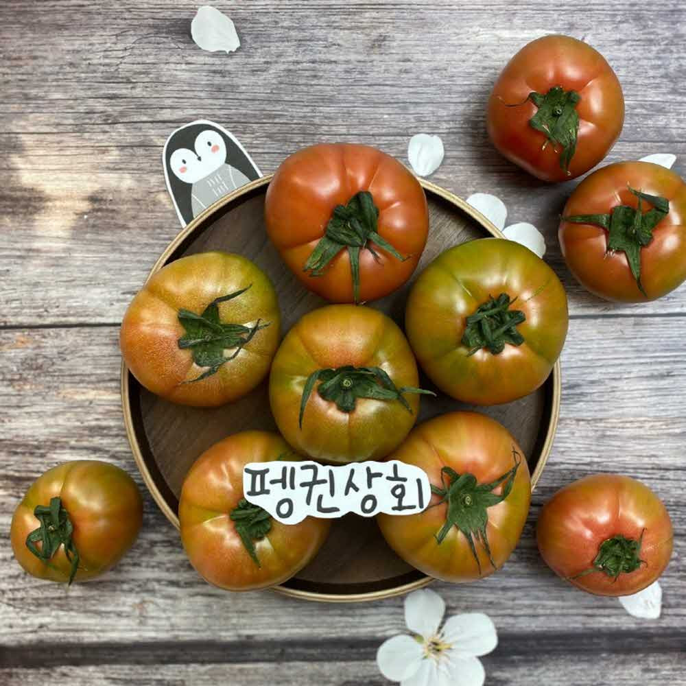 GAP 대저 정품 짭짤이 토마토 (S-3S/2.5kg)