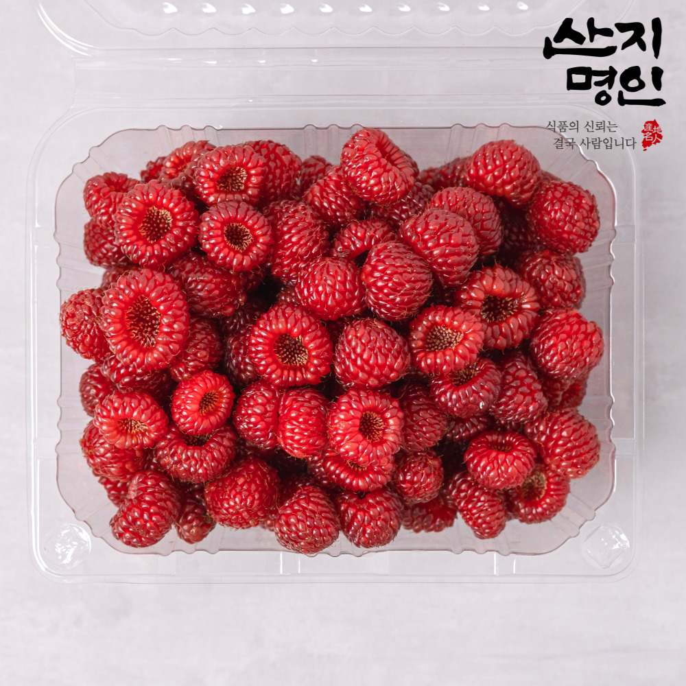 [산지명인] 산딸기 특품 250g 제철 생과