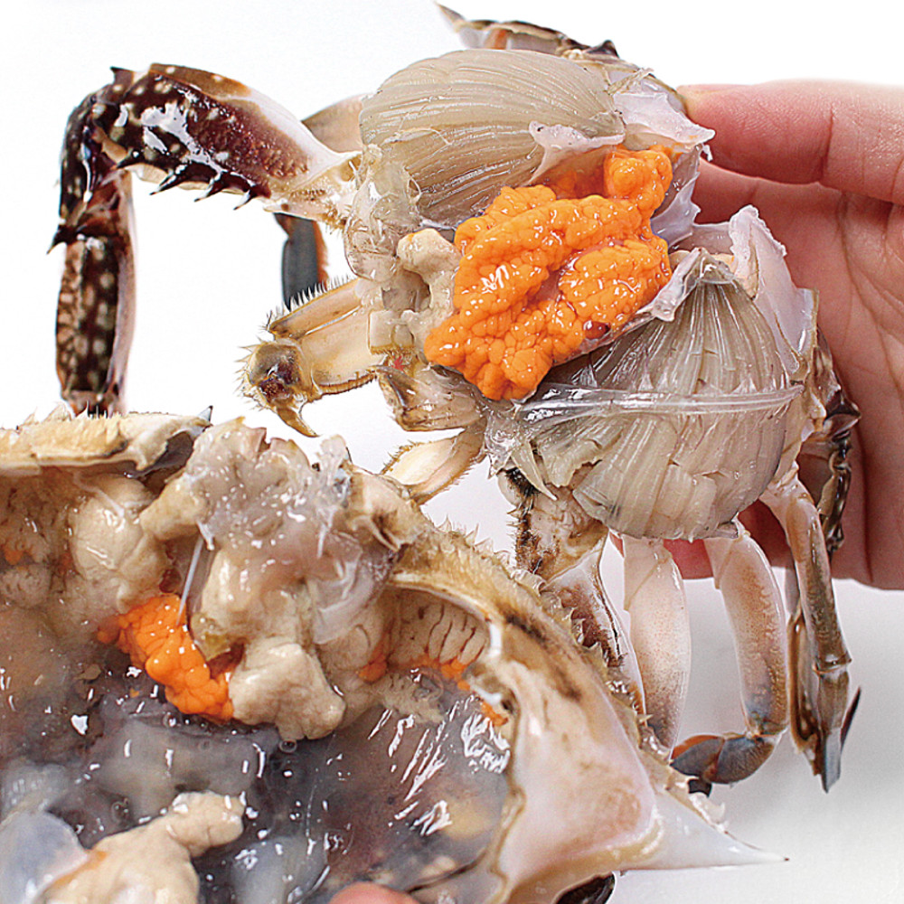 산지직송 제철 활꽃게 알베기 암꽃게 1kg
