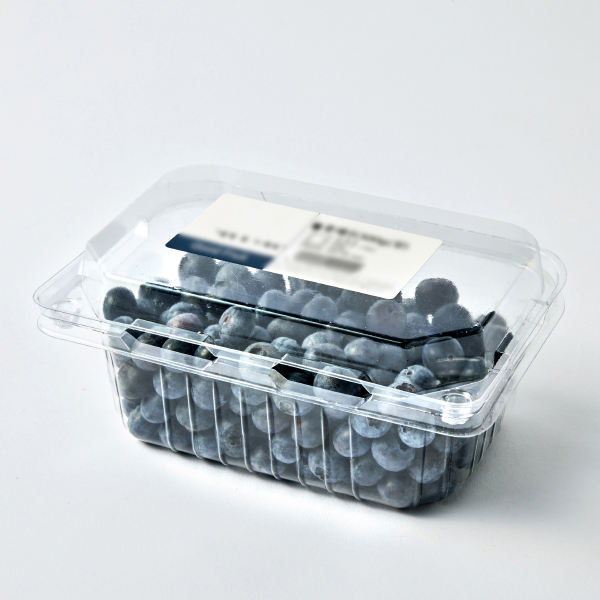 무농약 산청 블루베리(300g)