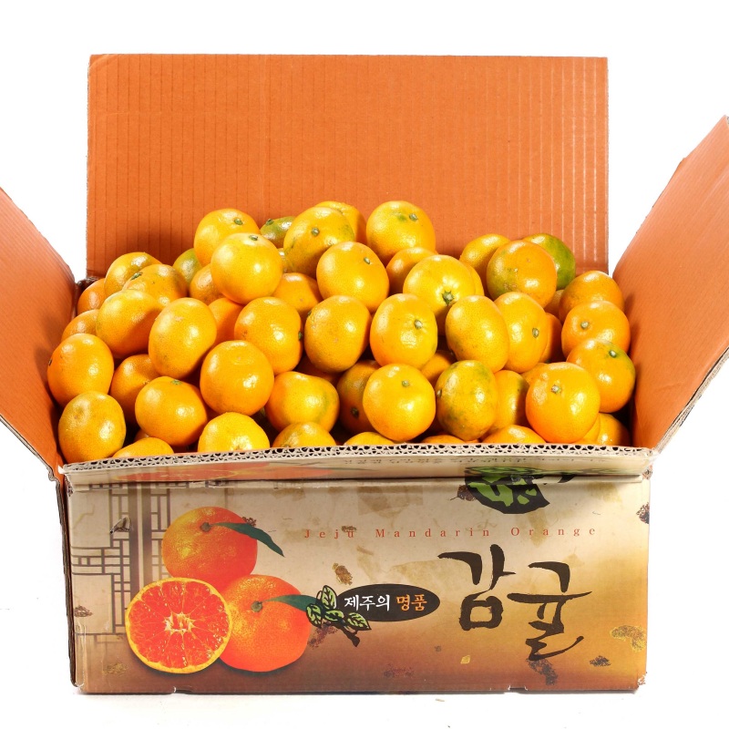 조은돌담 제주직송 고당도 하우스감귤 1.5kg, 2.5kg, 4.5kg(사이즈 선택)