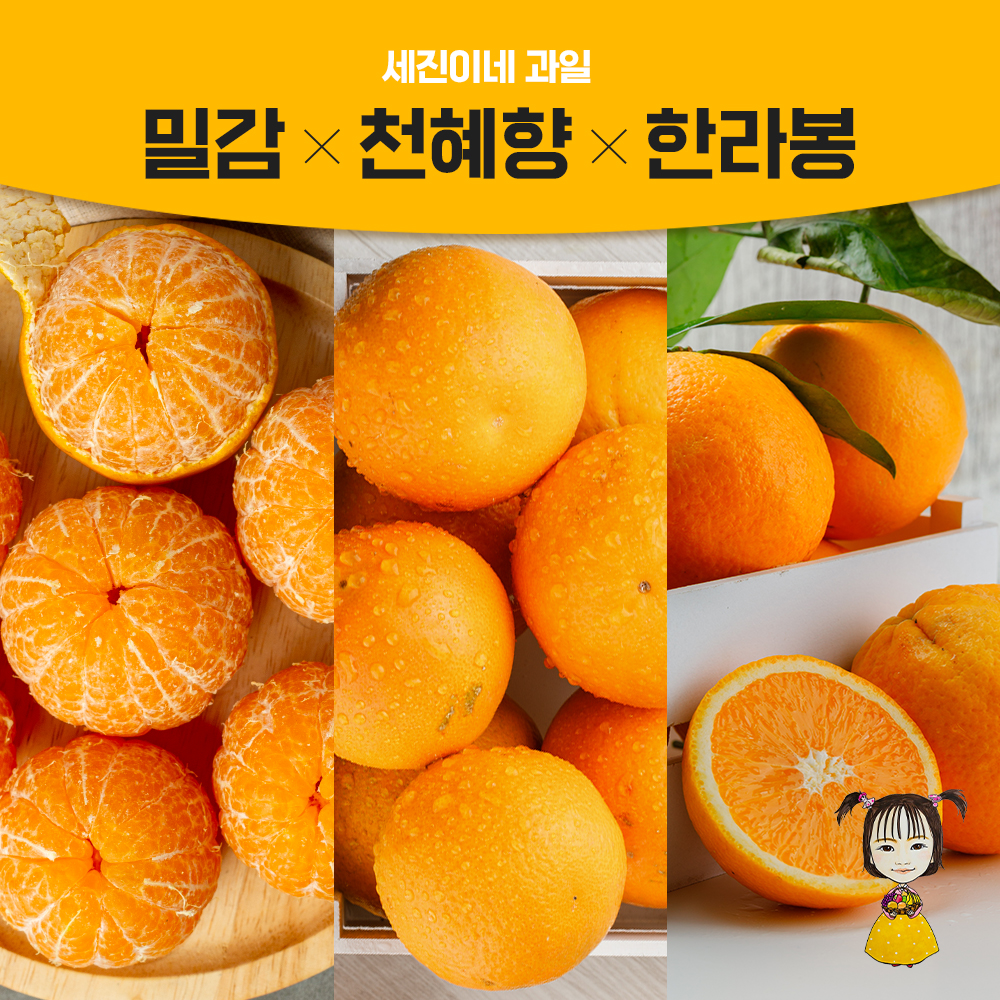  [착한가격] 프리미엄 노지/비가림 하우스 밀감(감귤) 한라봉 레드향 천혜향등 만감류