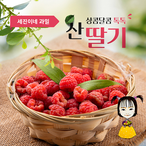 [착한가격]세진이네 과일 맛있는 프리미엄 산딸기