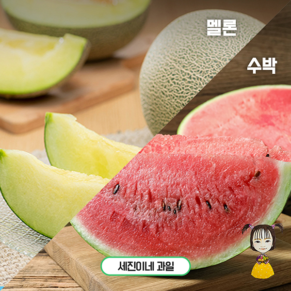 착한가격]세진이네 과일 사계절 ★정품★수박(Watermelon) / 부드러운 멜론 대표이미지 섬네일