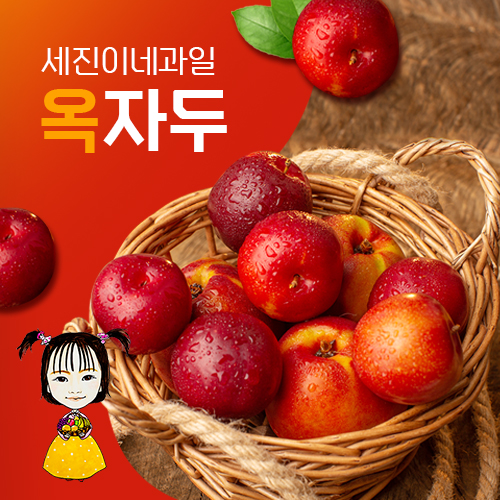 [착한가격]세진이네 과일 [대석,로얄대석,홍로센,후무사,후무사2,대왕자두,도담 등) 의성 옥자두 2kg,4kg,5kg