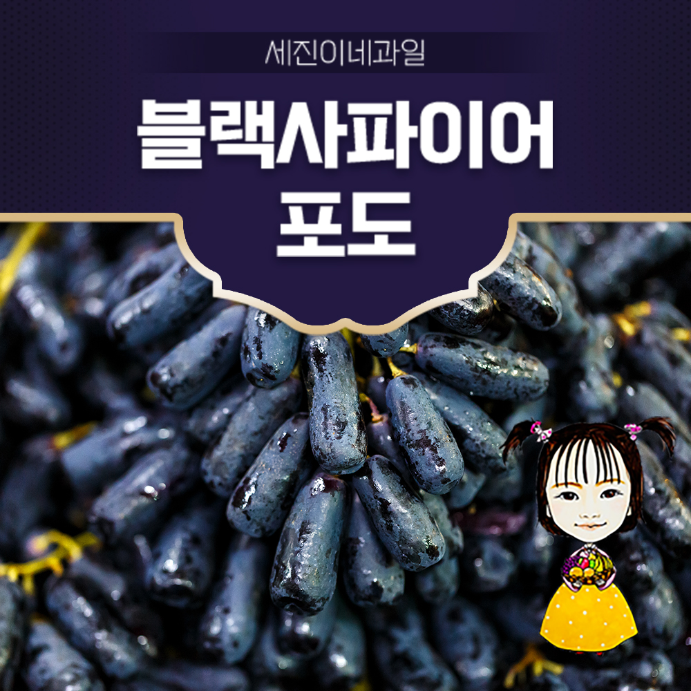 [착한가격]세진이네 과일 고당도 프리미엄 국내산(샤인머스캣 캠벨 머루 거봉),수입산(애플청포도 블랙사파이어 잭살루트 크림슨 캔디하트 등)