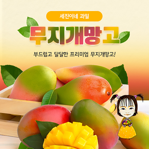 [착한가격]세진이네 과일 프리미엄 무지개망고 로얄과(특대 10~12과) 2.5kg,5kg
