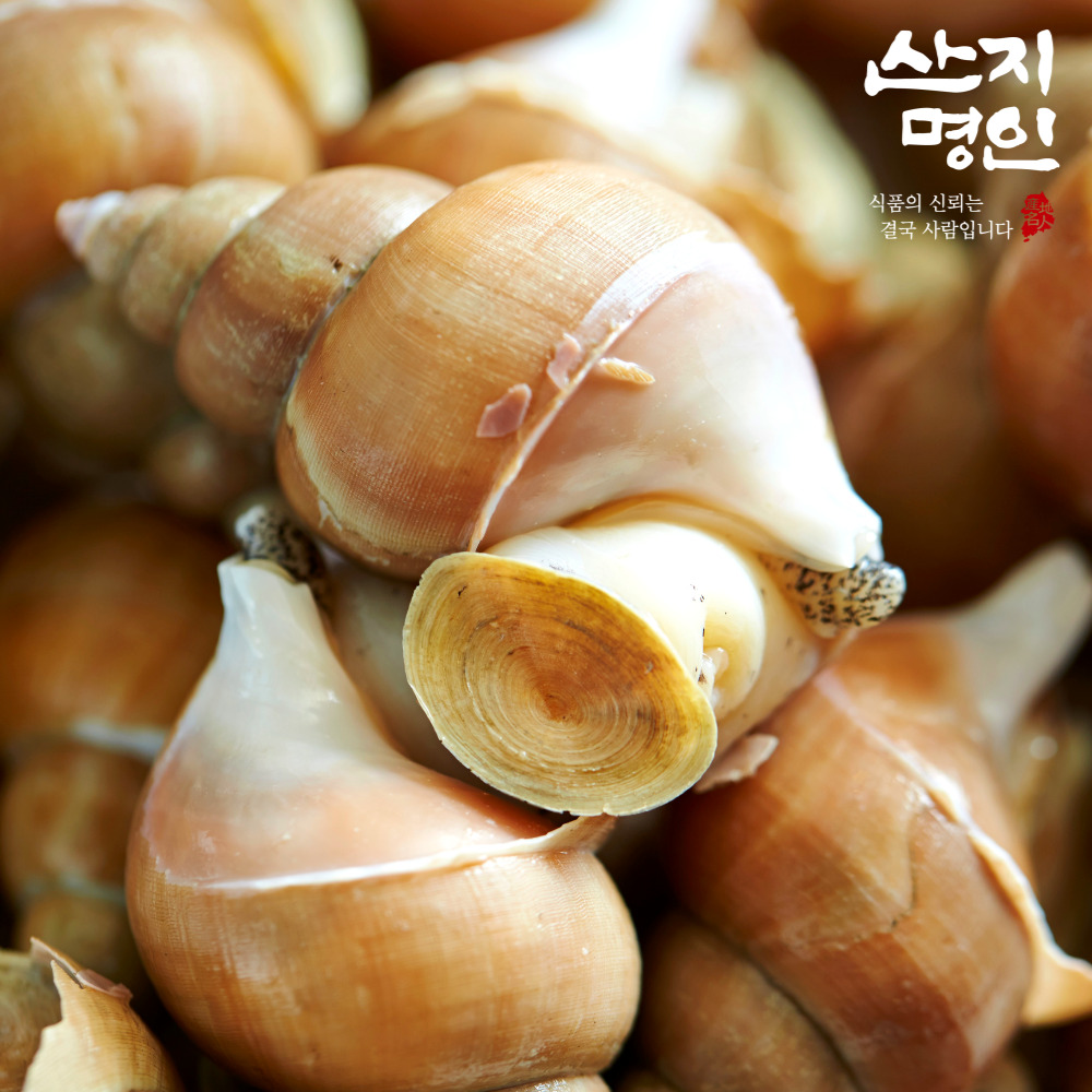 [산지명인] 자연산 백골뱅이 1kg 동해안 초신선 산지직송