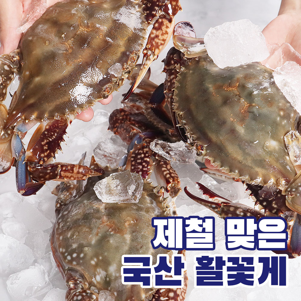 산지직송 서해안 가을 제철 생물 햇꽃게 1kg 빙장포장