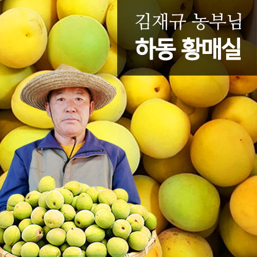 6월말 순차출고! [참다올] 하동매실 산지직송 김재규농부의 황매실 5kg 10kg