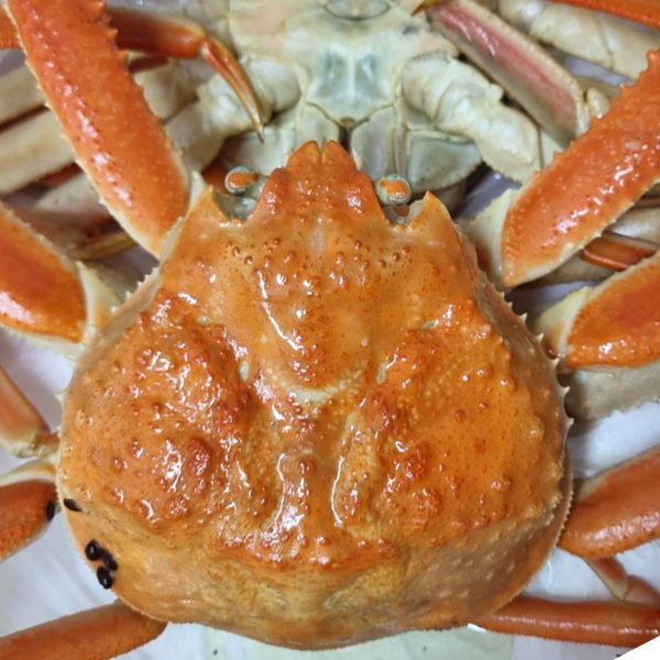 러시아산 자숙대게 2마리(2kg) 