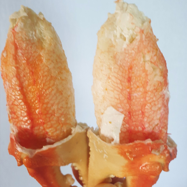 러시아산 자숙대게 2마리(2kg) 