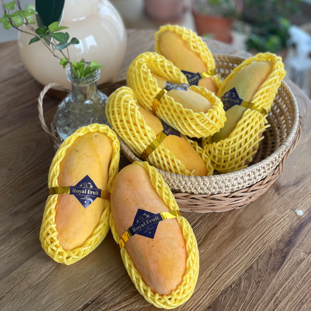 마하차녹 무지개망고 1.5kg