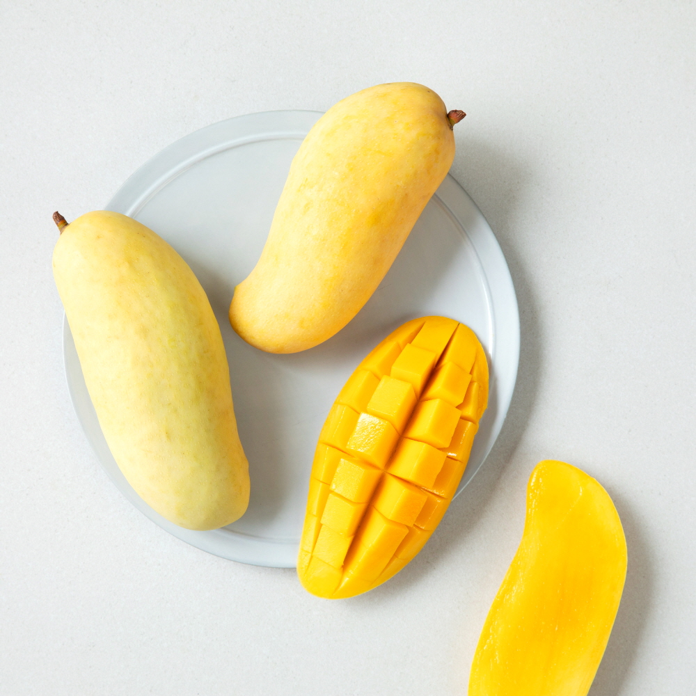 마하차녹 무지개망고 1.5kg