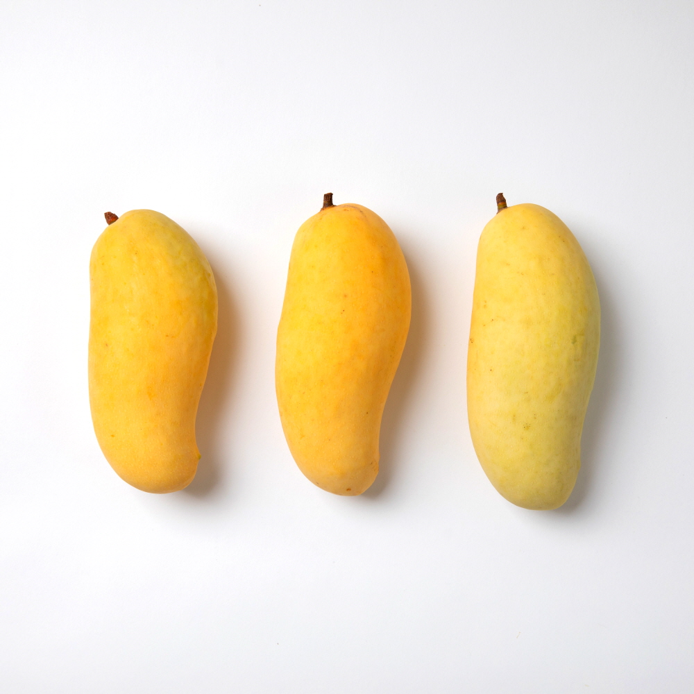 마하차녹 무지개망고 1.5kg