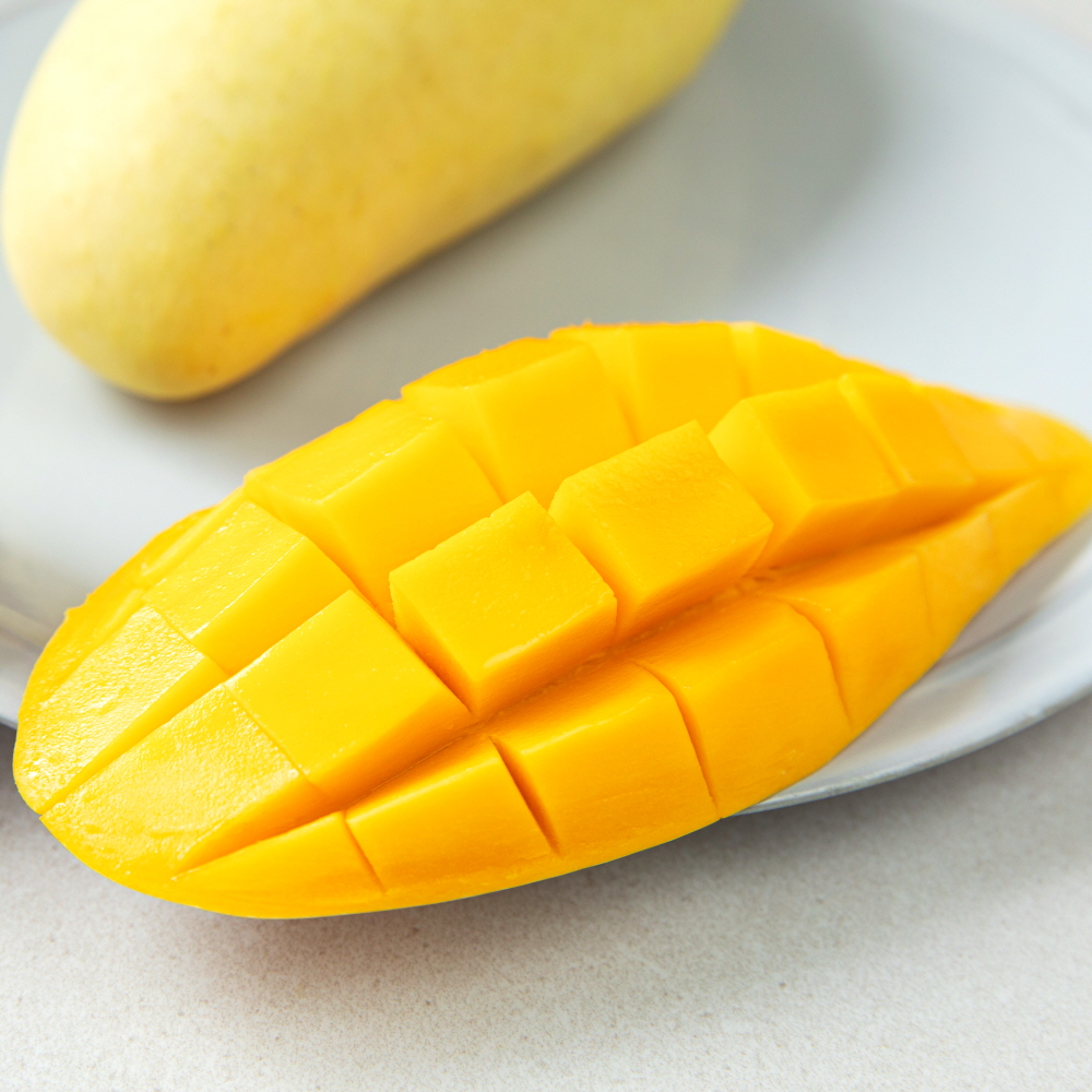 마하차녹 무지개망고 1.5kg