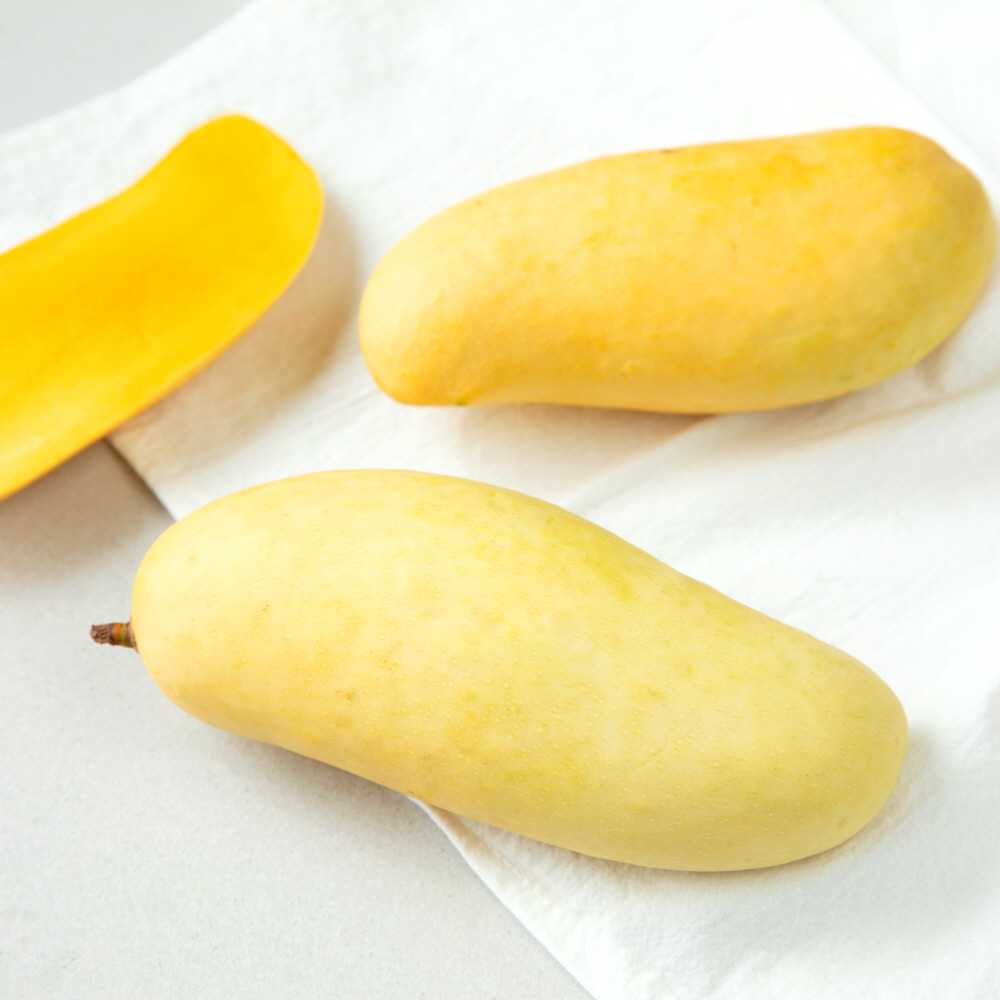 마하차녹 무지개망고 1.5kg