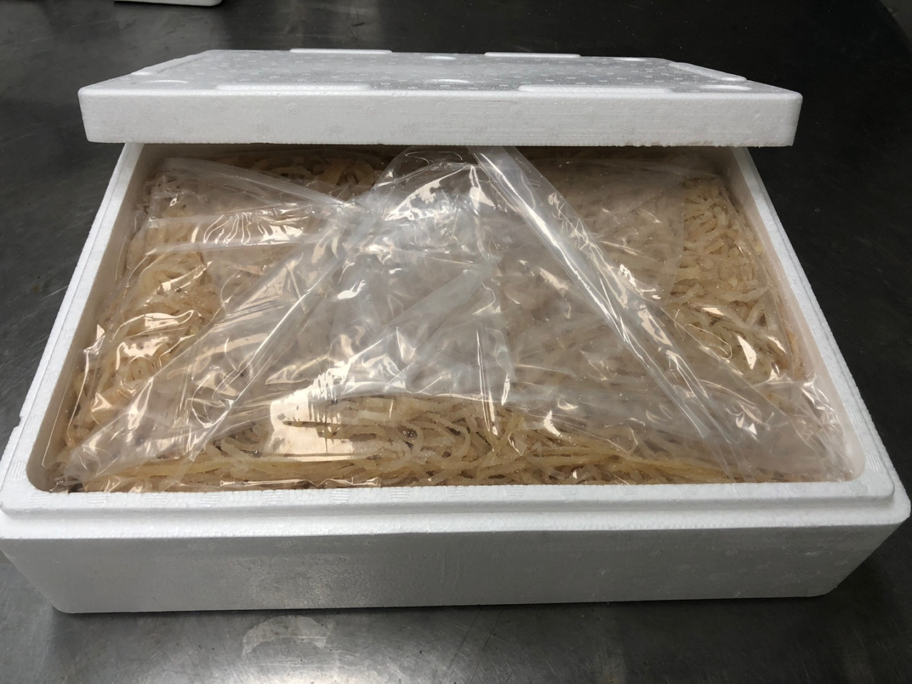 꼬들꼬들 해파리 8kg (실중량 8kg) 무염 해파리 냉채 