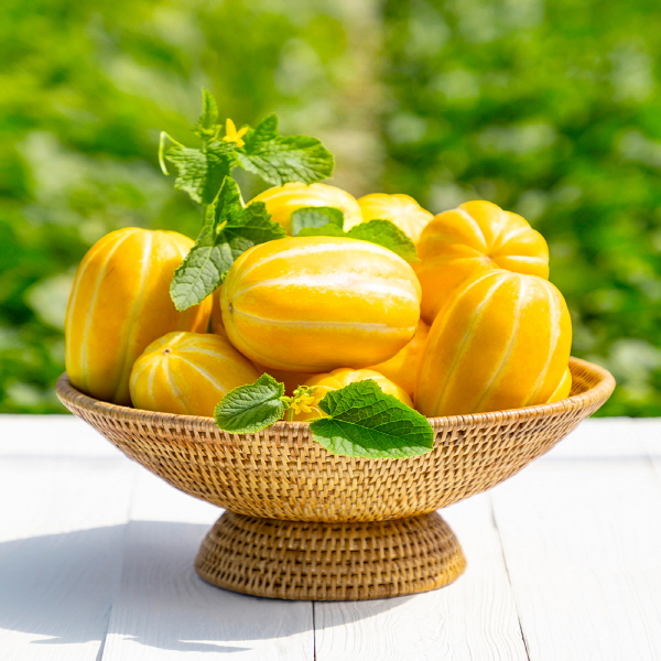 참외의 본고장 경북 성주 참외 2kg 가정용 / 선물용