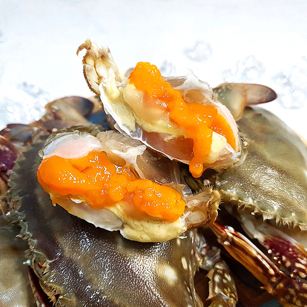 [산지직송] 봄 활 알배기 암꽃게 1kg[3-5미]