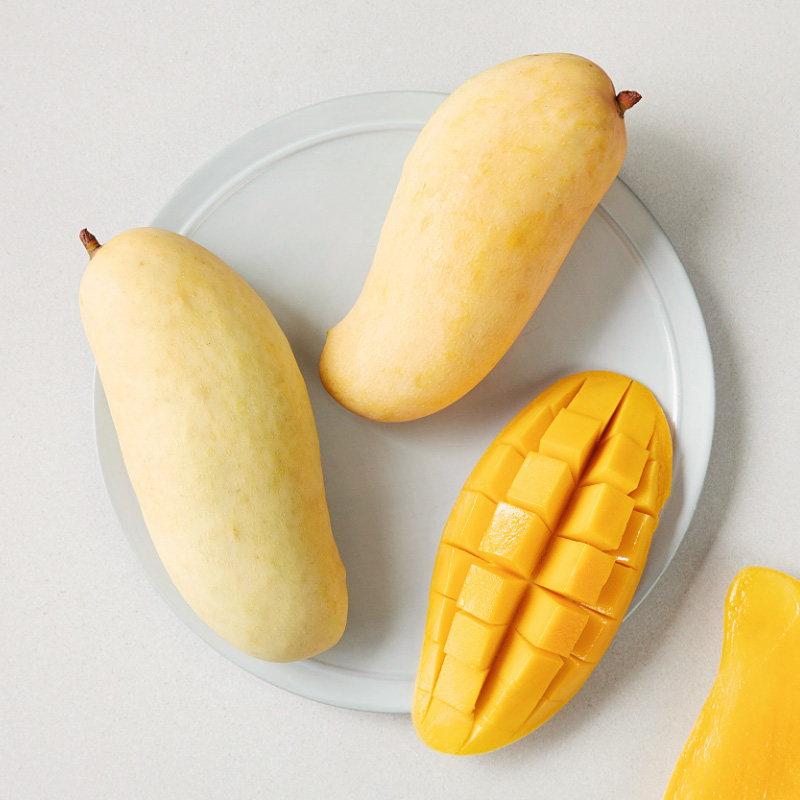 [항공직수입] 태국 마하차녹 무지개 망고 1.5kg 2kg 5kg